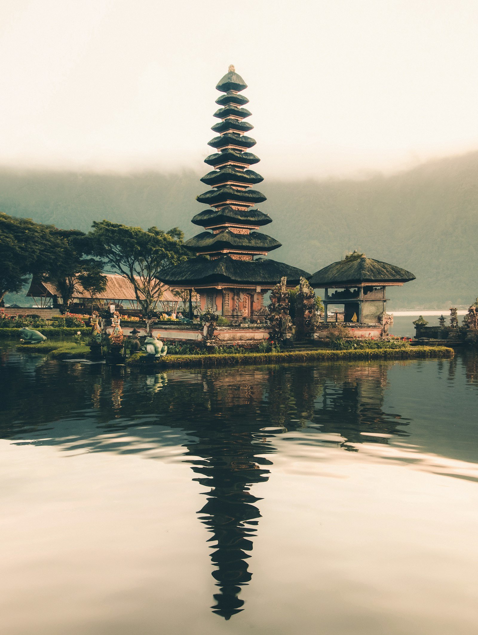 Home Bali rice terraces
