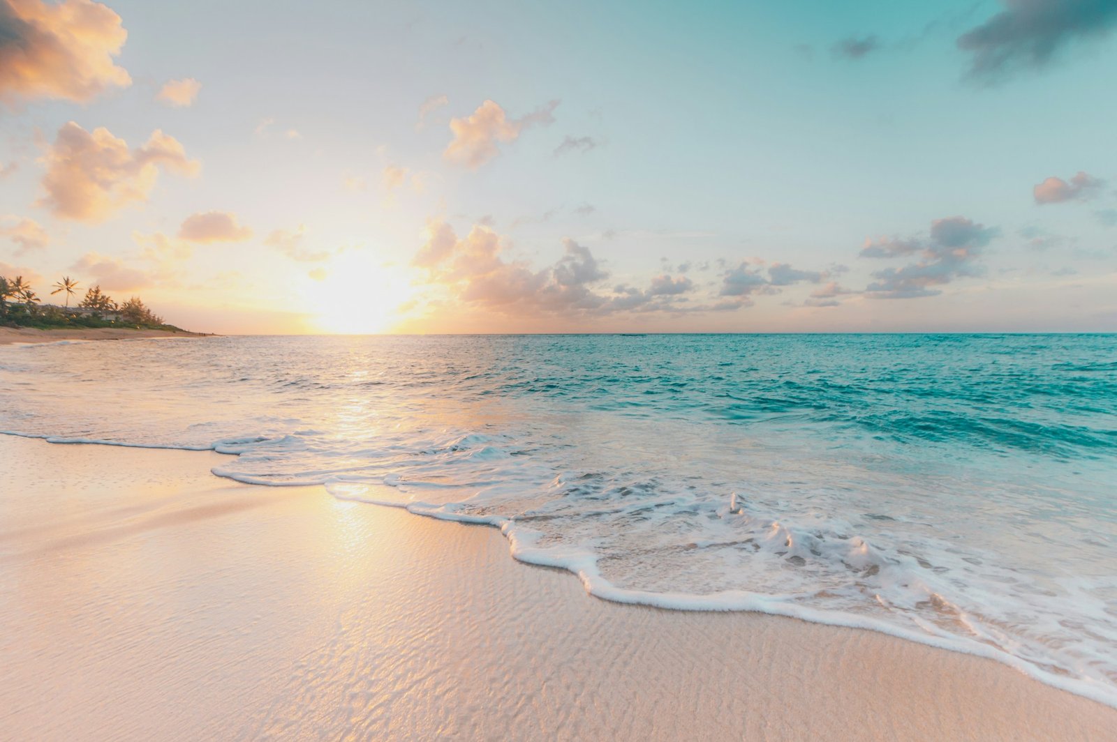 Home Tropical beach paradise